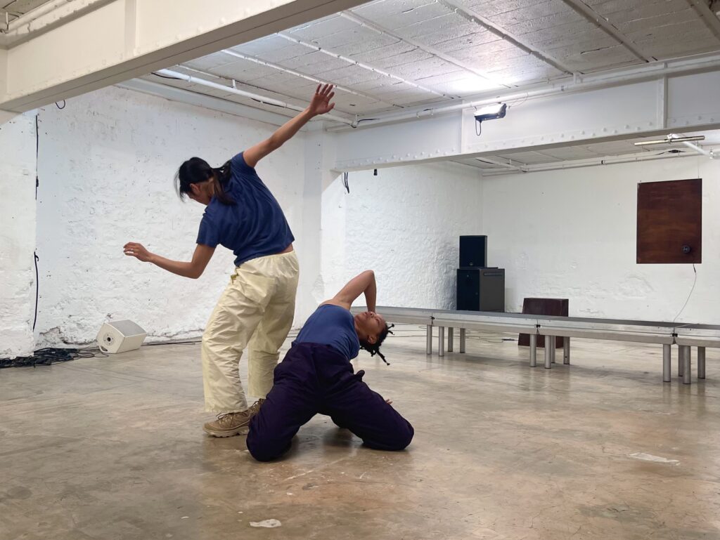 LES INACCOUTUMÉS AUTOMNE 2025